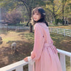 Harajuku Puff Sleeved Pink Dress-Kawaiifashion